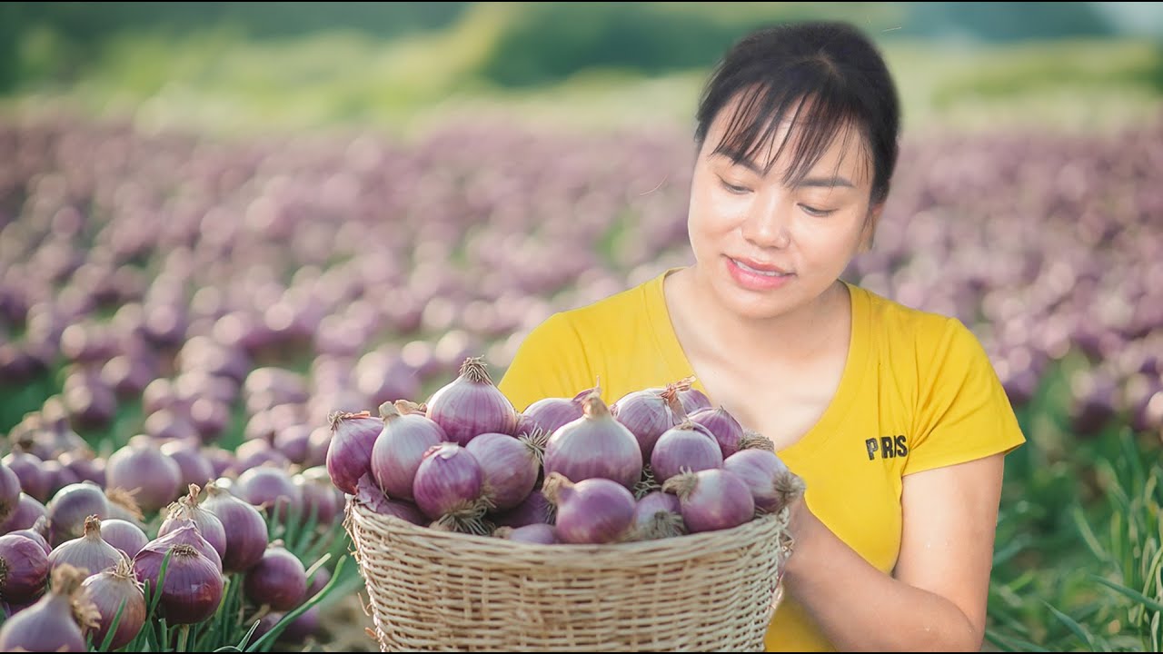 Harvesting Spring Onion & Goes to Market Sell | Incredible Garden Moment!