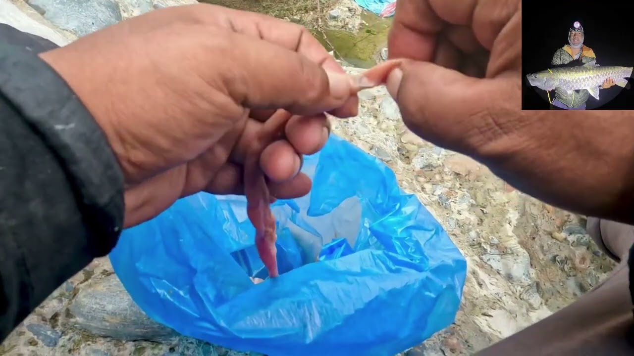 #pokhara #fishing #in#bagmara#katle #babal #andra ma#viral @premlama6181
