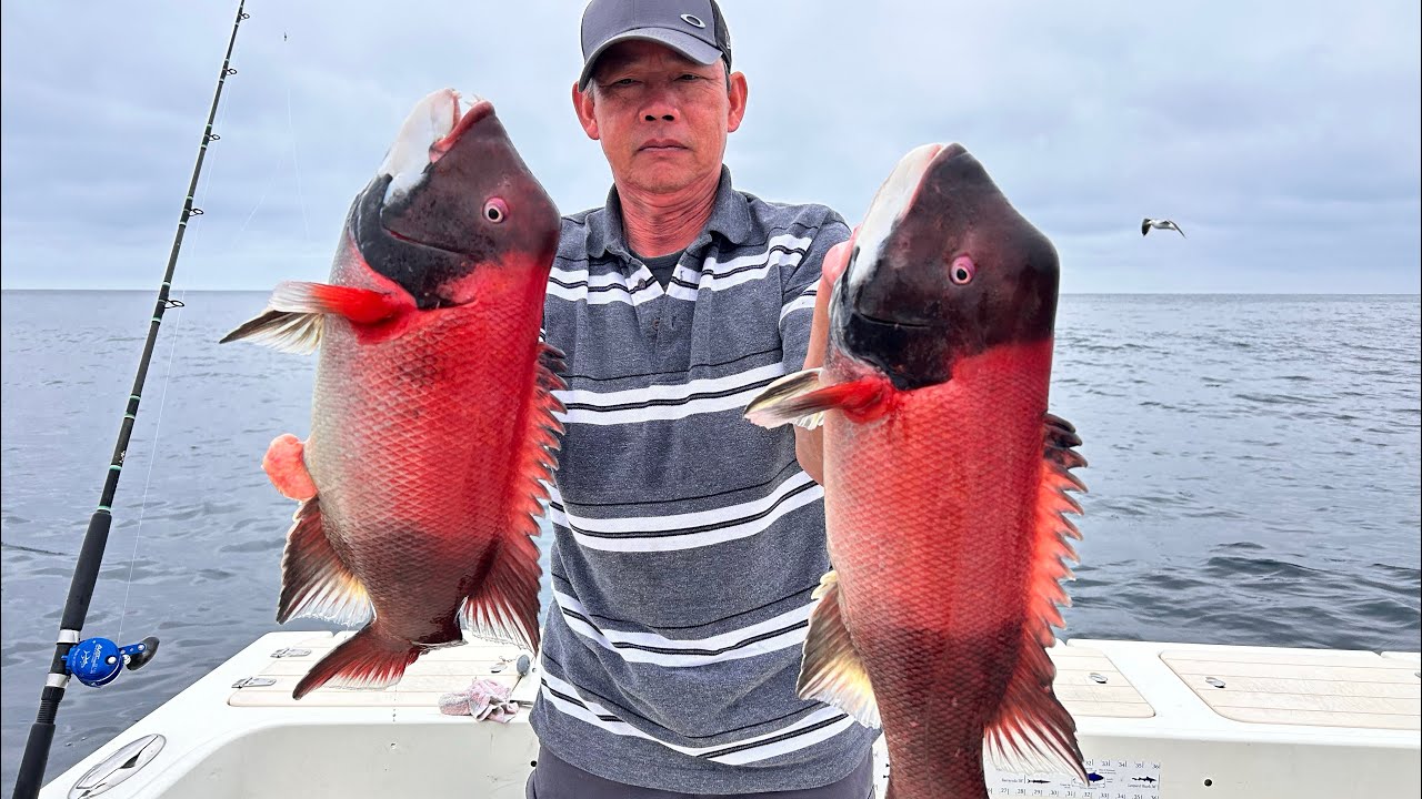 Epic Overnight Fishing at Santa Barbara Island (60 Miles from Shore)