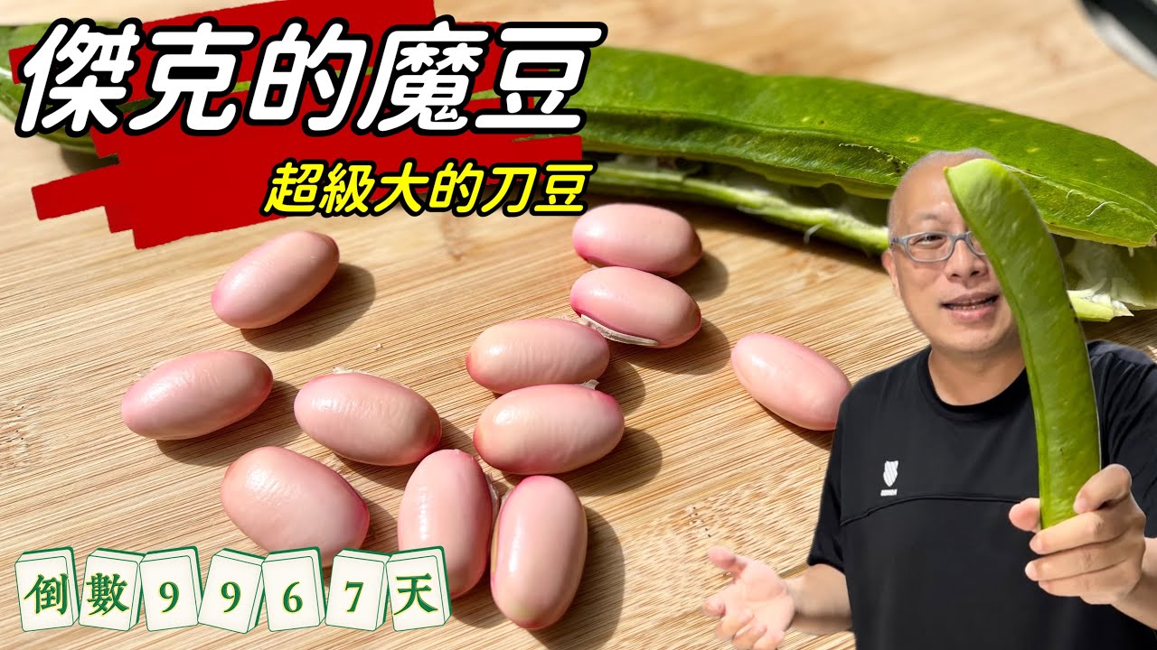 傑克的魔豆_刀豆：我見過最大的豆子，還挺好吃_人生倒數9967天