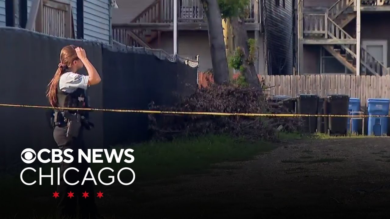 Boys, ages 12 and 15, shot in Canaryville neighborhood