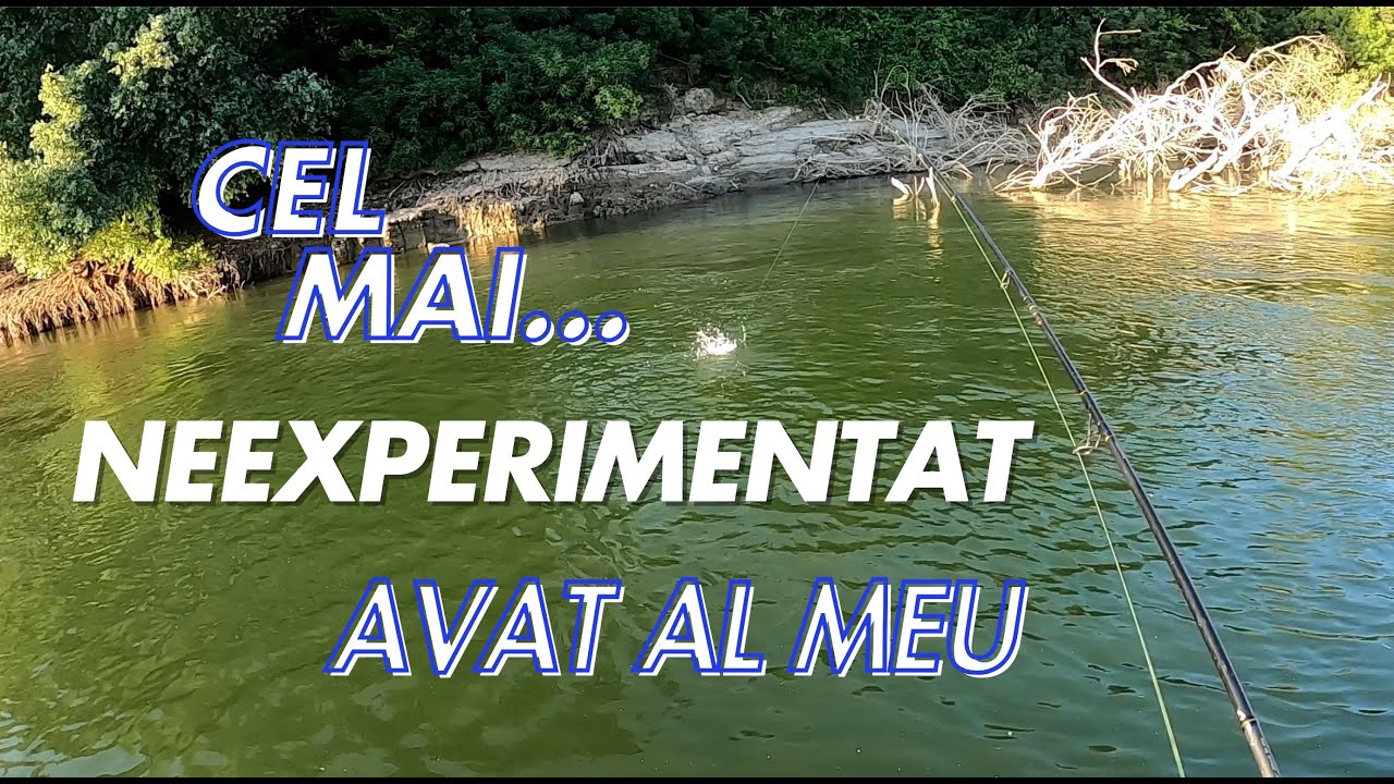Pescuit pe Dunare, seara, la cel mai... neexperimentat avat