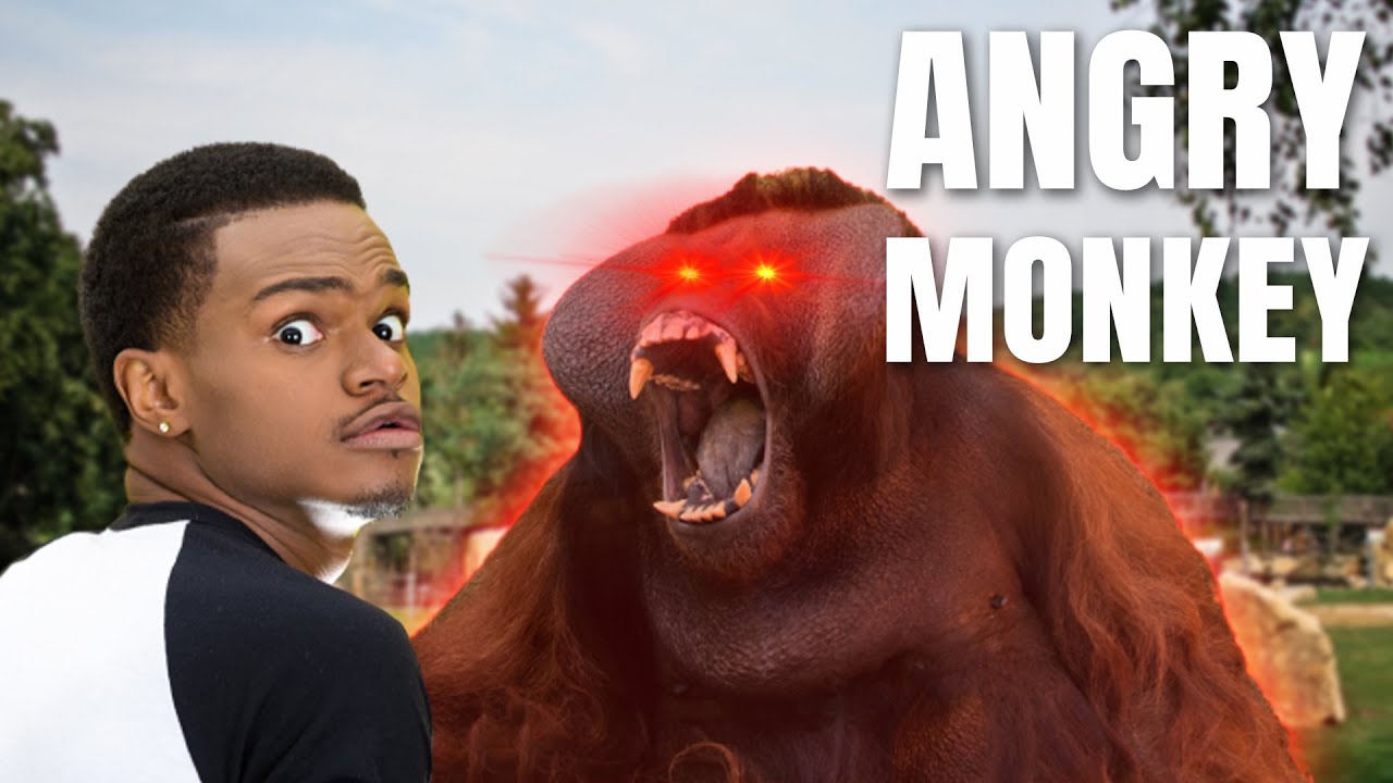 Man Learns Not To Enter Orangutan's Enclosure... The Hard Way! | Stupid People Weekly