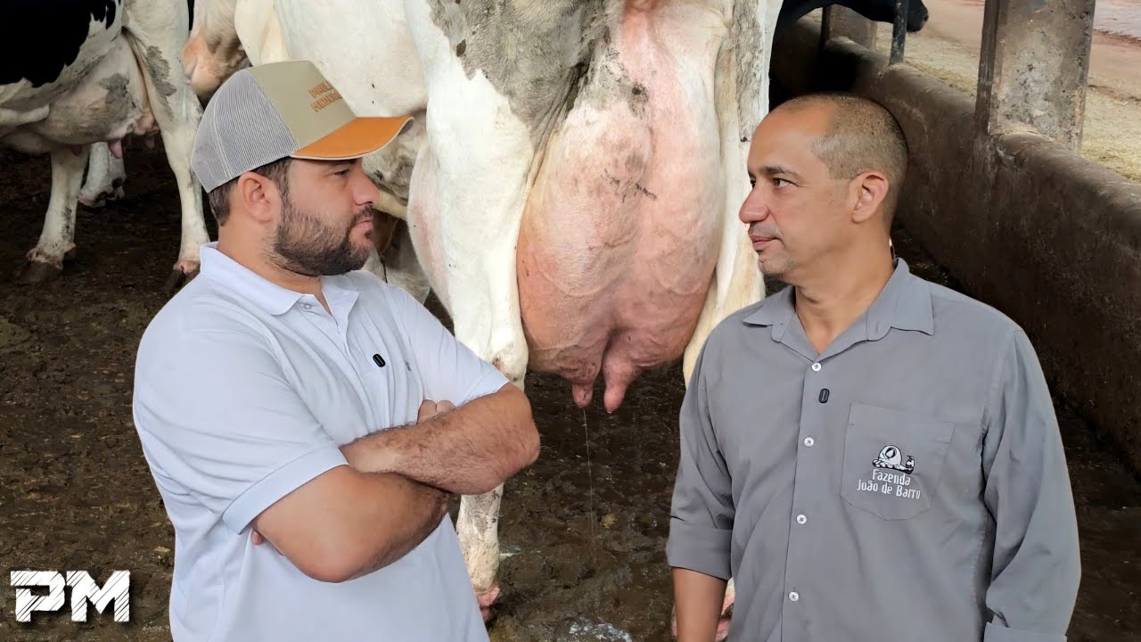 O PEQUENO TIRADOR DE LEITE ESTÁ COM OS DIAS CONTADOS?