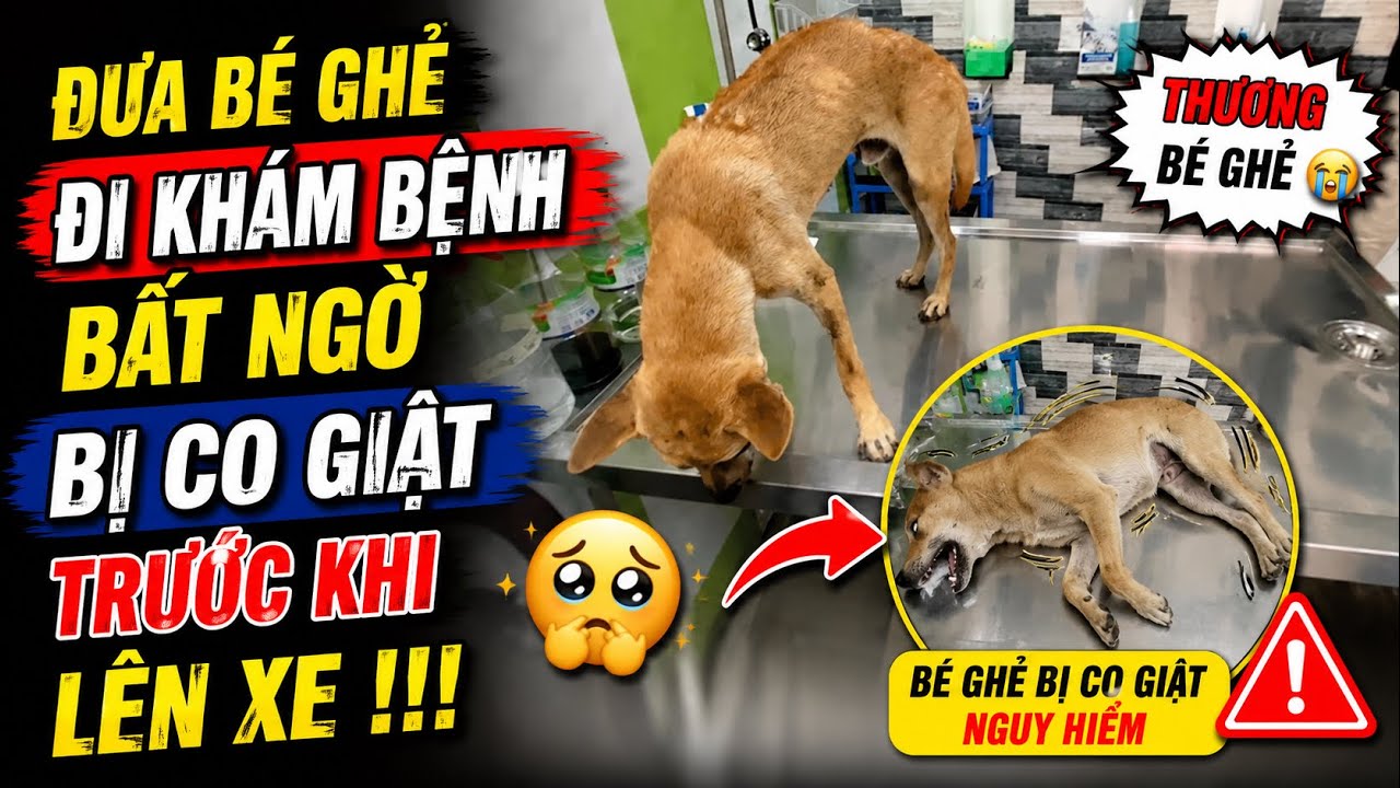 Đưa B&eacute; Ghẻ Đi Kh&aacute;m Bệnh Bất Giờ Bị Co Giật Trước Khi L&ecirc;n Xe