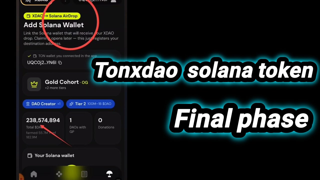 How to get ready to claim TONXDAO tokens | tonxdao wallet connect must do task 