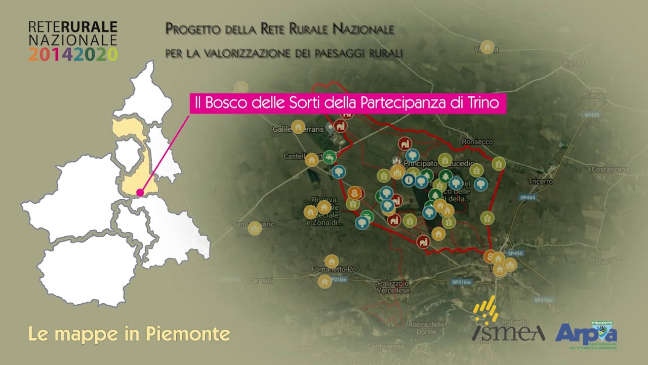 Il bosco delle sorti della partecipanza di Trino