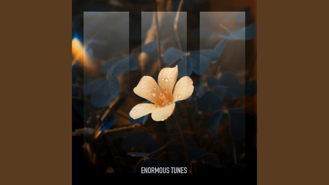Bloom in the Ashes