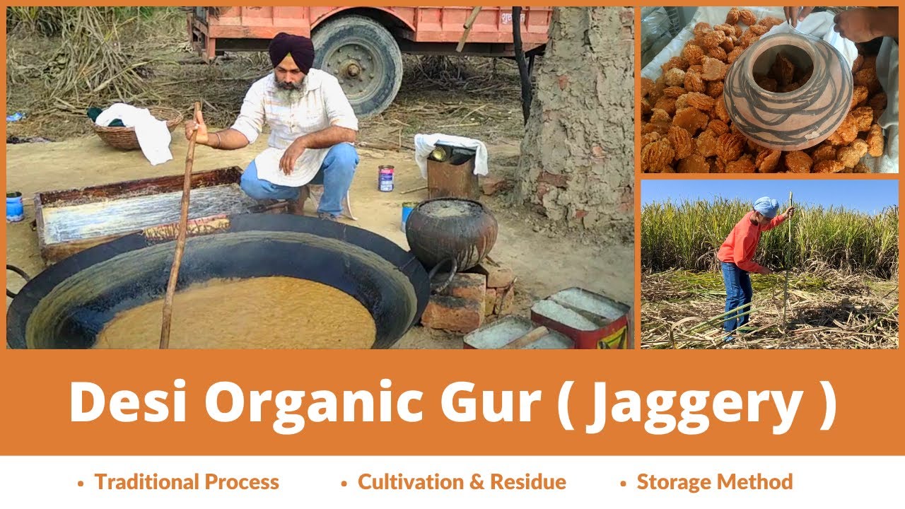 Desi Organic Gur | Jaggery Making