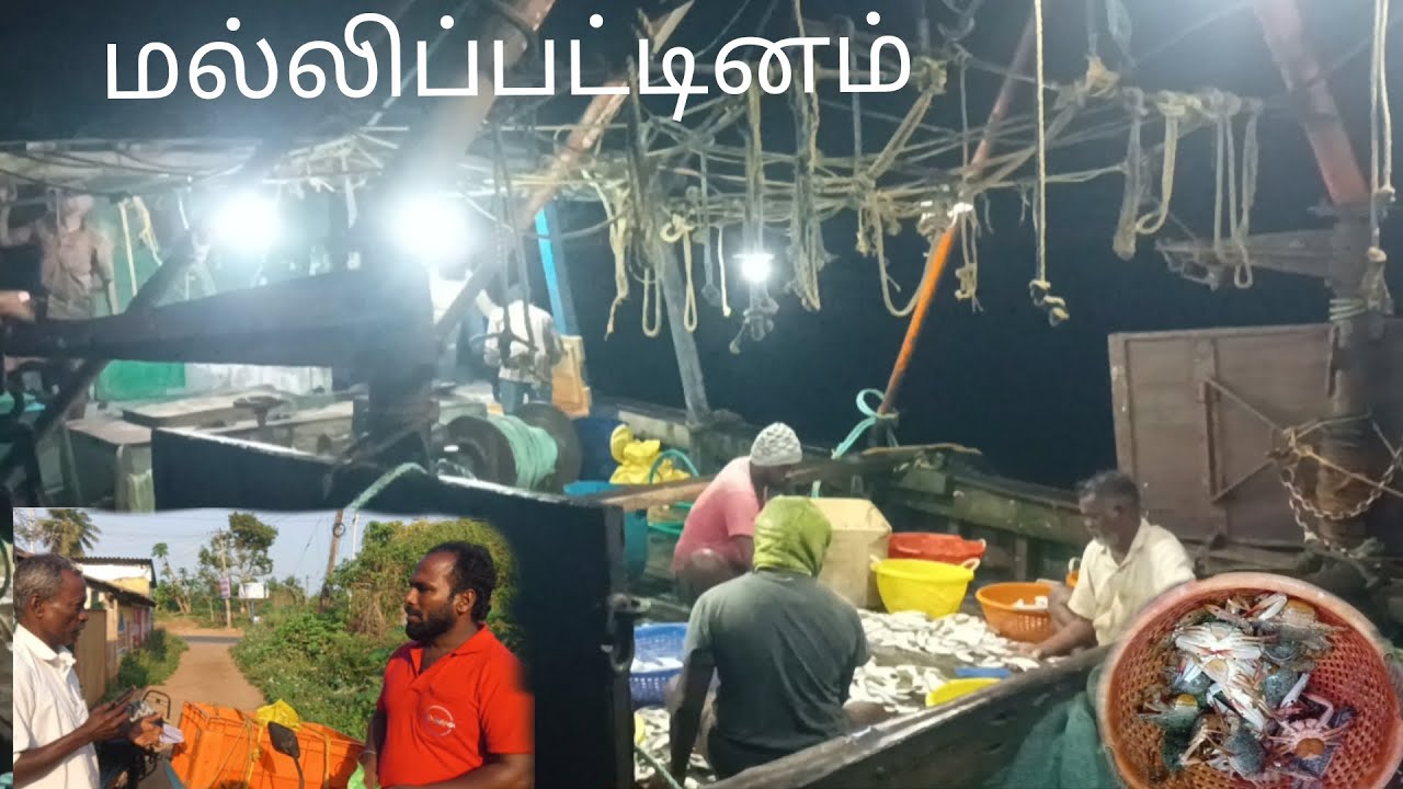 மல்லிப்பட்டினம் போனோம் மீனே 🐟வரல 😔😔#subscribe #fishing |fishkannan|