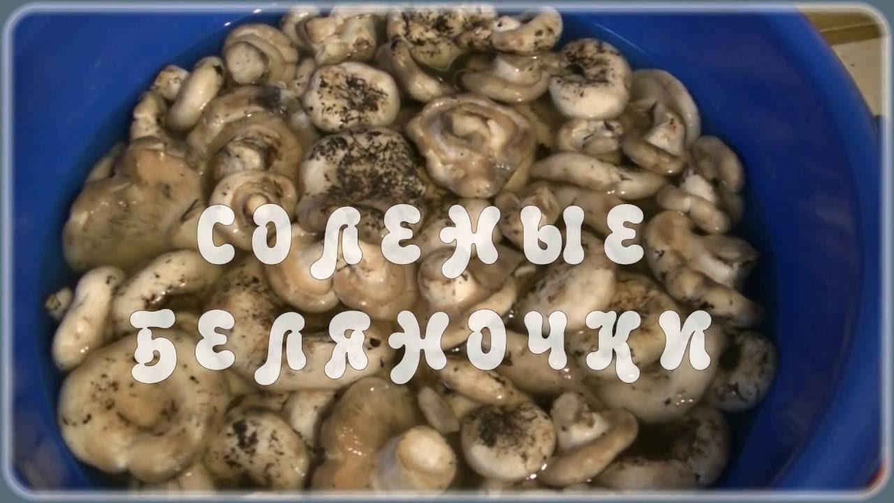 Как солить грибы горячим способом | How to pickle mushrooms hot way