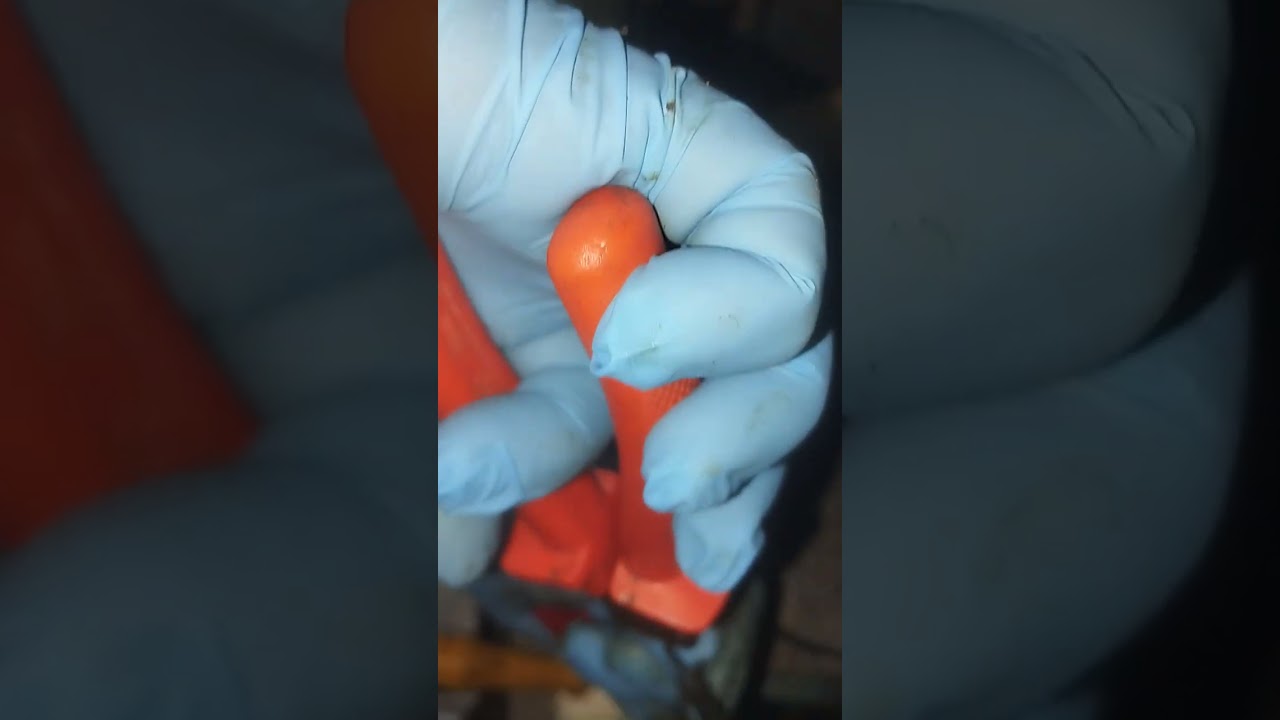 Circuito do balcão refrigerado em curto serviço resolvido 