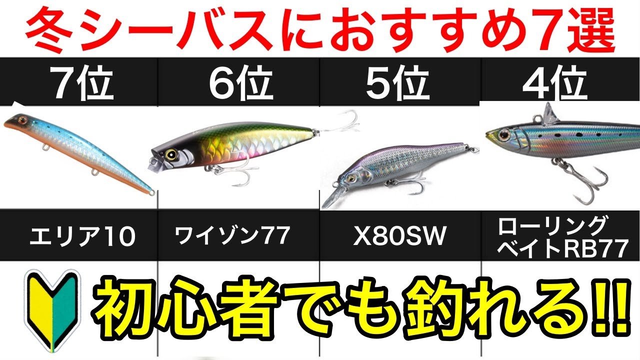 【冬シーバス】釣れるおすすめルアー7選！初心者さんも簡単に釣りたいならコレ！
