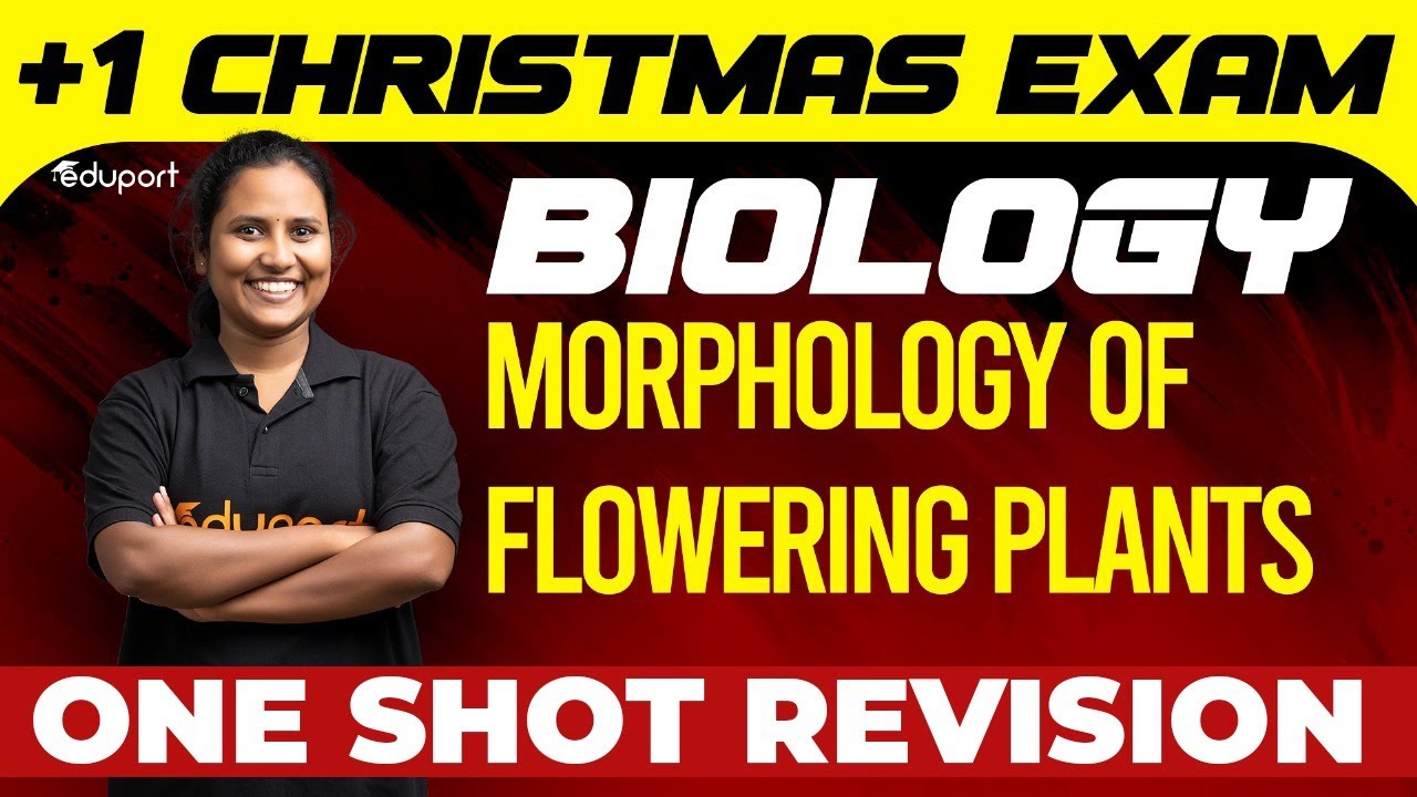 Plus One Biology | Morphology of Flowering Plants - Chapter 5 | Eduport Plus One