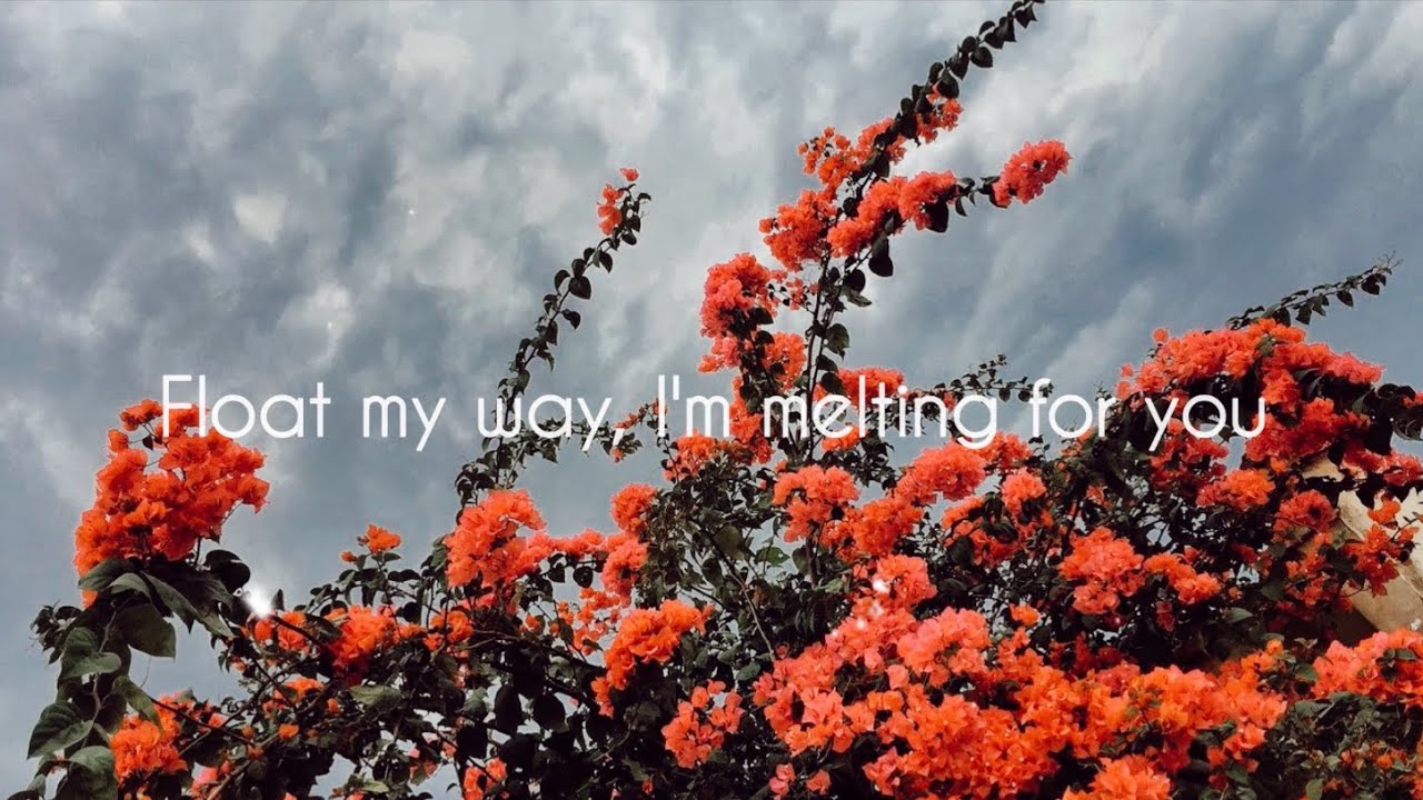 FUNERAL GREY | Waterparks | Lyrics