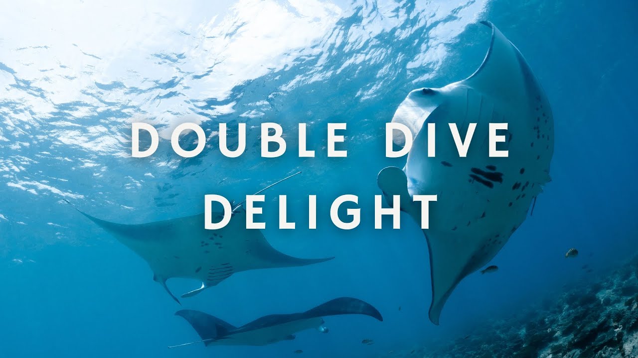 Double Dive Delight: Exploring Padangbai and Nusa Penida from Eastern Bali