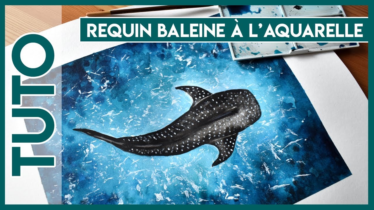 Tuto aquarelle, peindre un requin baleine dans l'océan