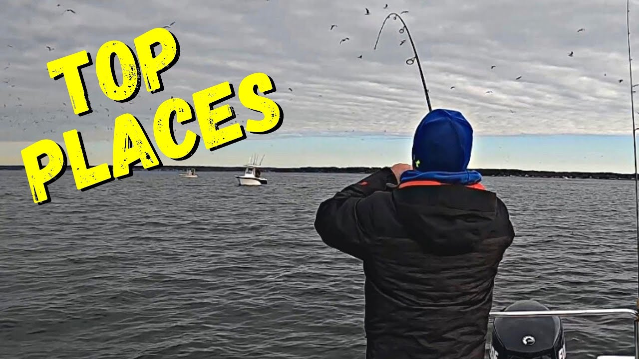 My 5 FAVORITE Places to FISH [AND LAUNCH YOUR BOAT ]  in Maryland