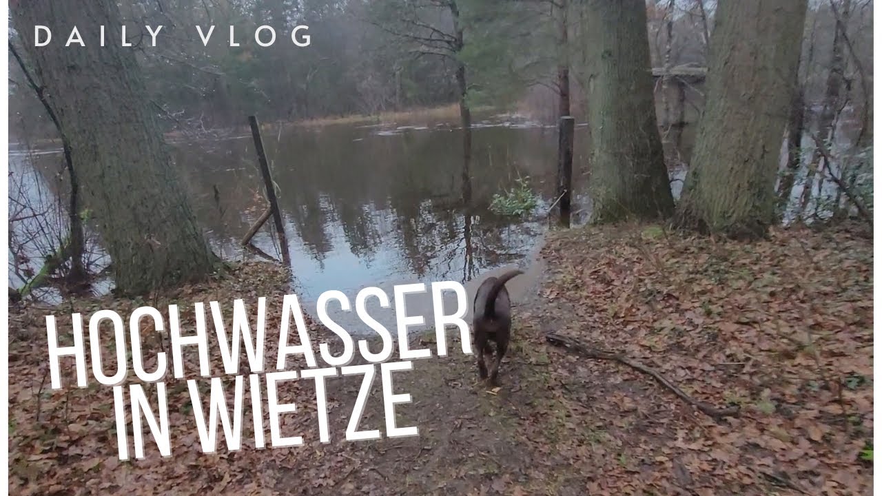 Hochwasser in Wietze 2023 | Daily Vlog | Nici