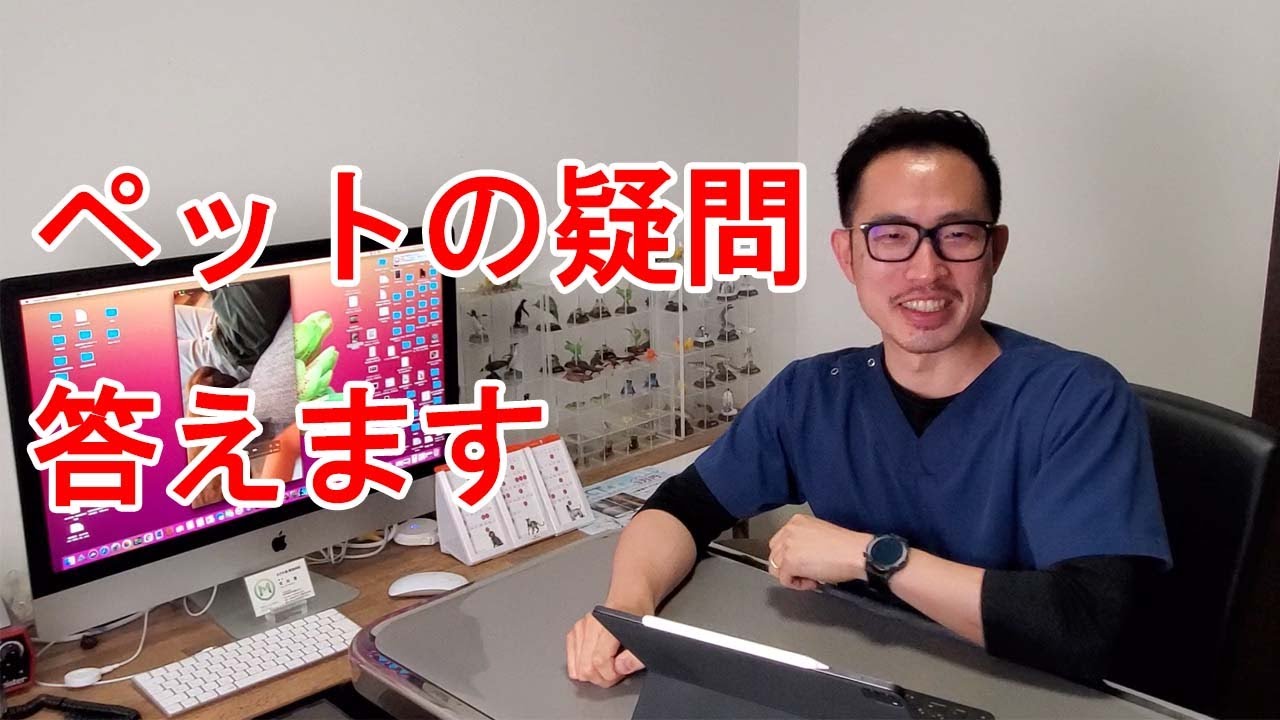 【ライブ配信】獣医師が質問なんでも答えます！なんの動物さんでも大丈夫です。2024年6月14日20時～21時予定