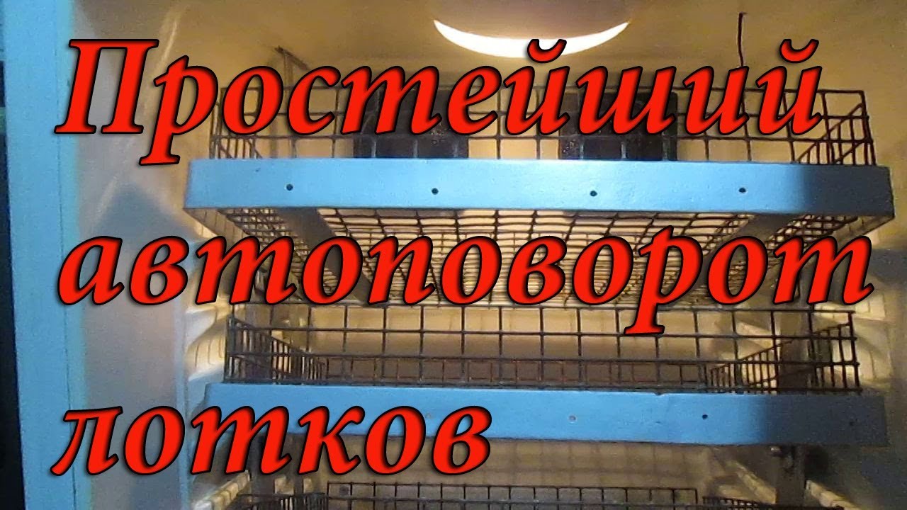 Инкубатор из холодильника #4 Автоповорот лотков