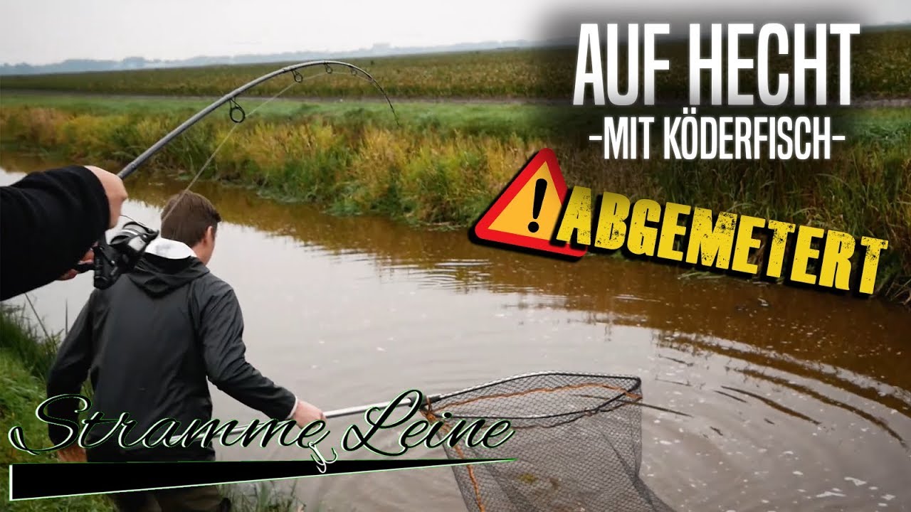 METER+ HECHT auf K&Ouml;DERFISCH - HECHTANGELN mit POSE