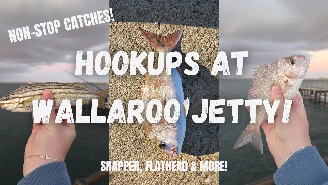 NON-STOP Hookups Jetty Fishing. Snapper, Flathead & More!