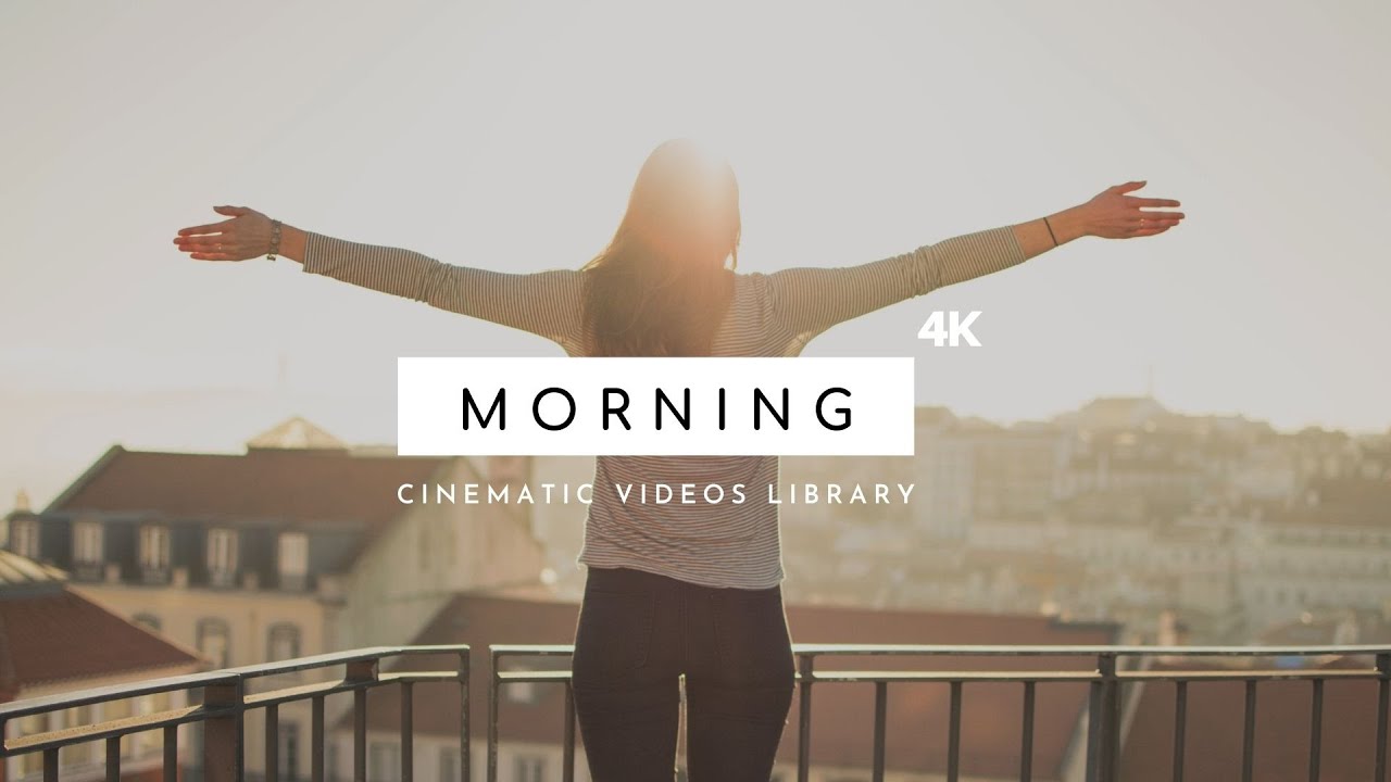Morning - Cinematic Videos 4K | Free Morning Footage Stock