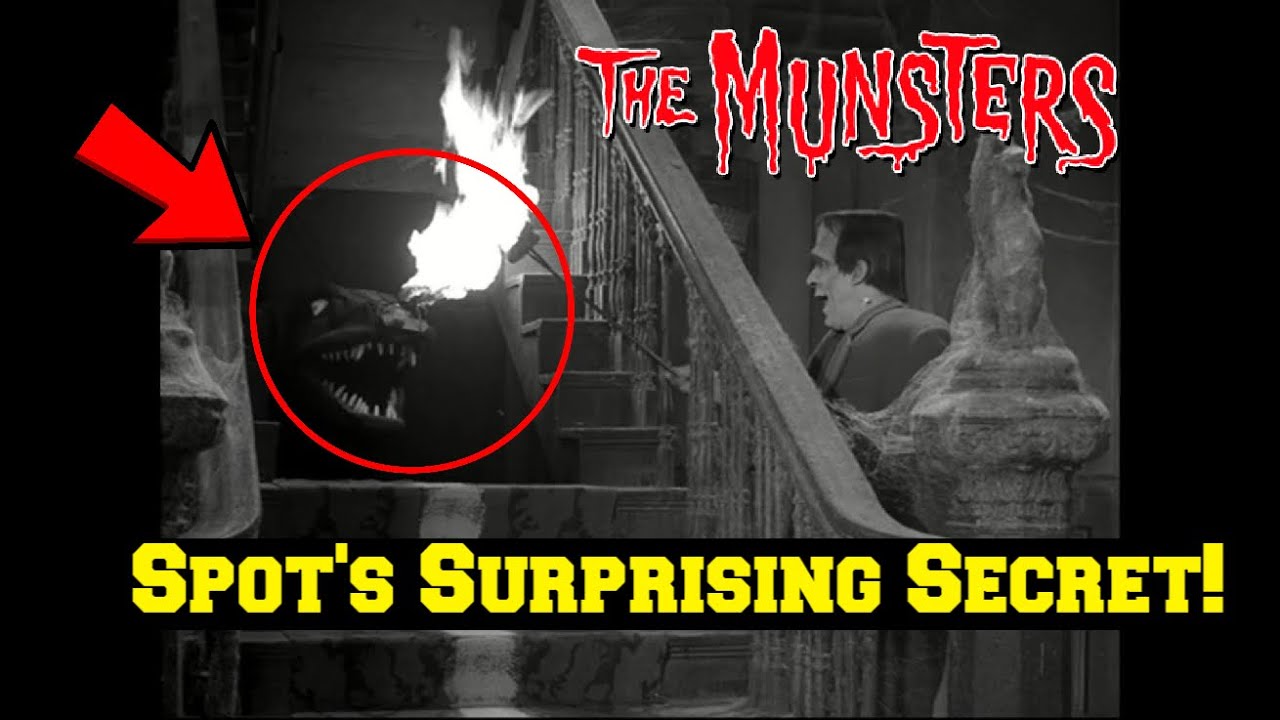 The Munsters | Revealed: What You Never Knew About SPOT!