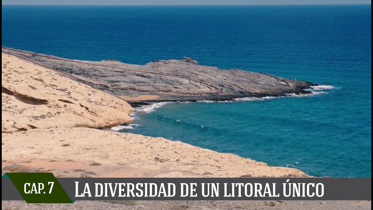 Geología de la Región de Murcia. Capítulo VII: La diversidad de un litoral único