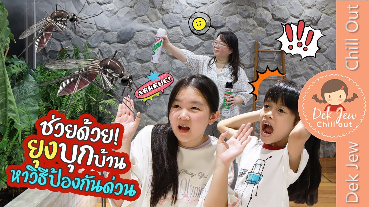 ช่วยด้วย!! ยุงบุกบ้าน หาวิธีป้องกันด่วน