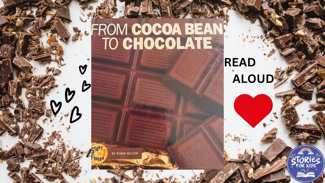 FROM COCOA BEAN TO CHOCOLATE | LEARN WITH BOOKS | STORIES FOR KIDS