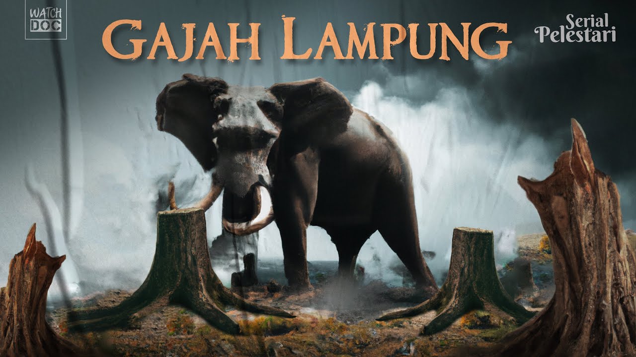 GAJAH LAMPUNG | PELESTARI