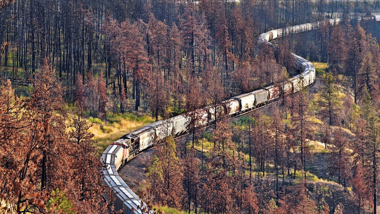 Big Massive CN Grain Train Winding Thru Burned Down Forest near Lytton BC
