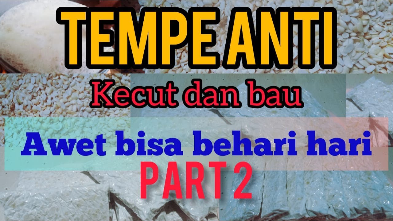 panduan lengkap proses pembuatan tempe part 2