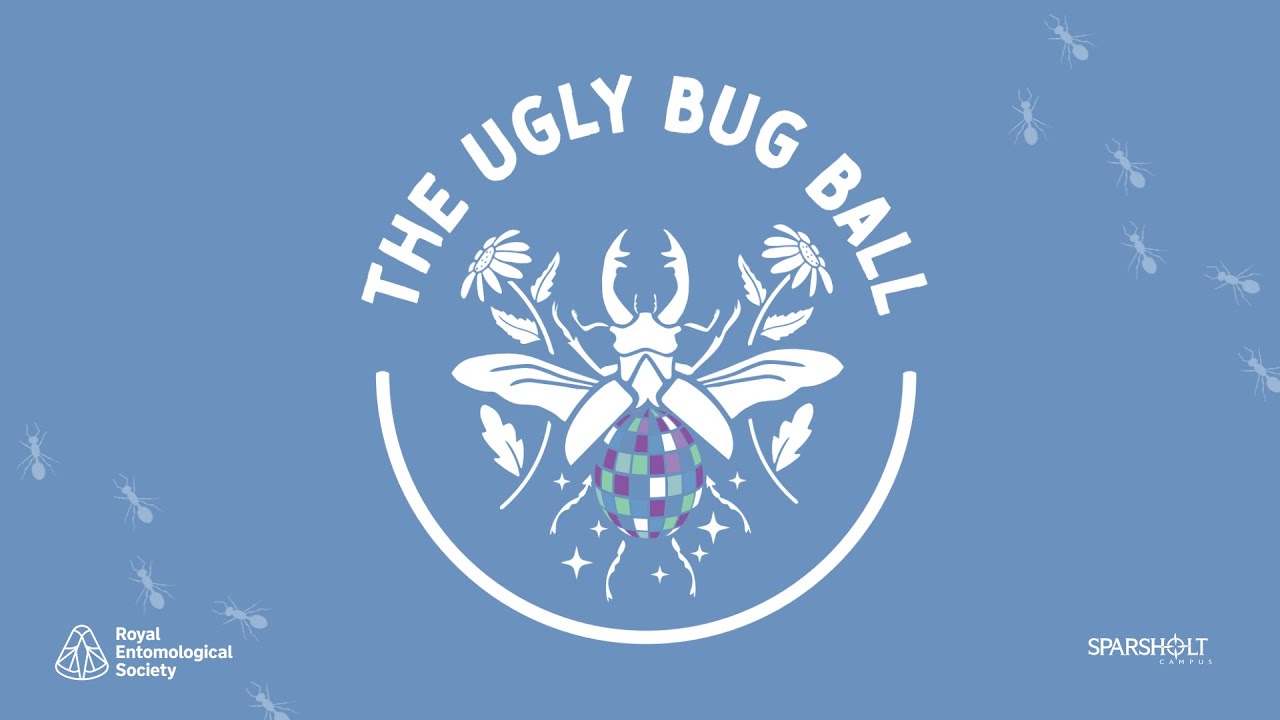 The Ugly Bug Ball | RHS Chelsea Flower Show 2025
