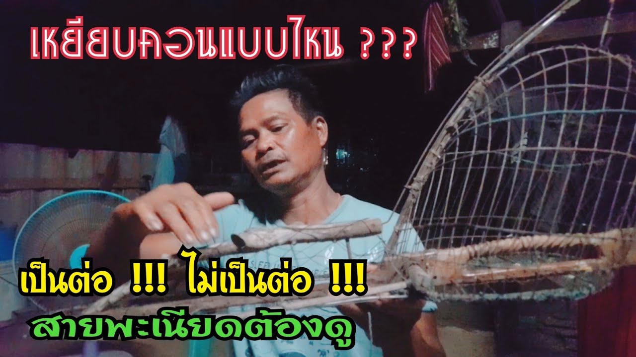 คุยเฟื่องเรื่องนกเขา | ขอความรู้ | เคล็ดลับดีๆ | ประสบการณ์จริง | เซียนพิณ ศรีรัตนะ 👍