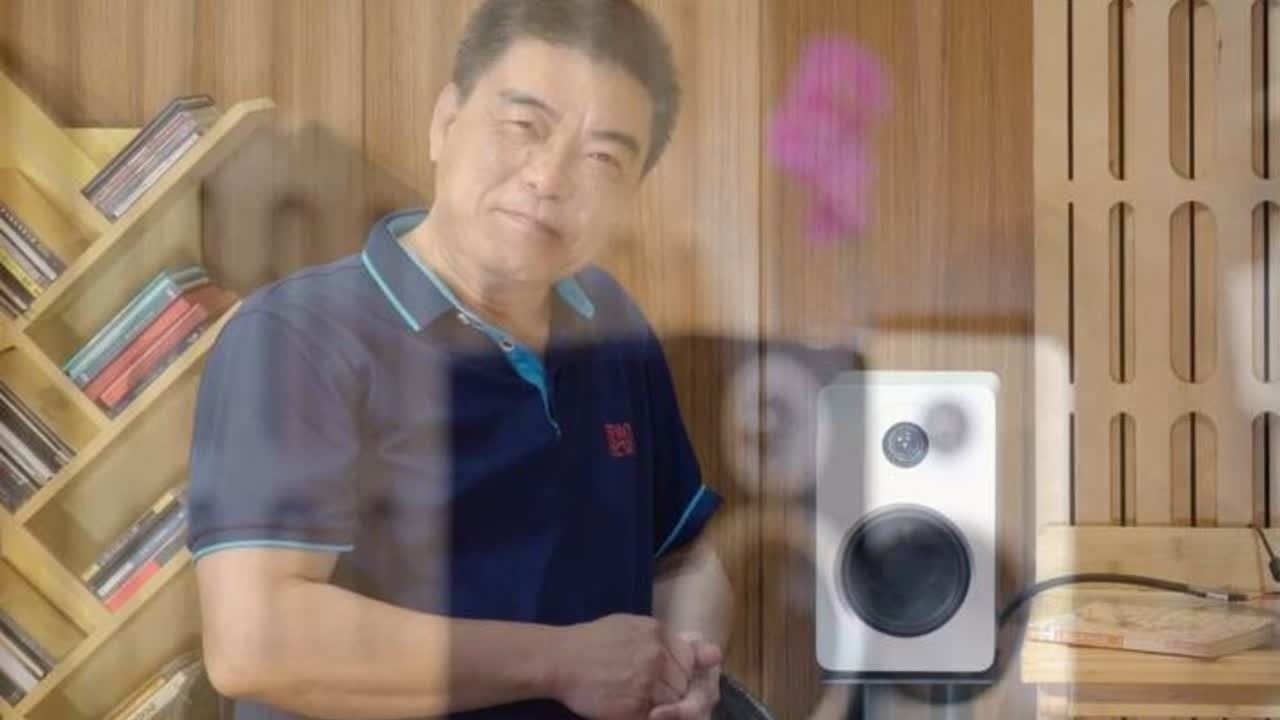 介绍一对很便宜的书架音箱：模拟声ES-3 #音箱 #音响 #发烧友 #HIFI #现场录音