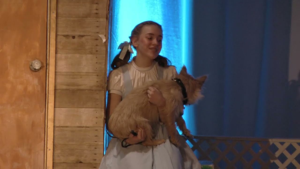 The Wizard of Oz Pioneer Valley Regional School (2019) blue cast