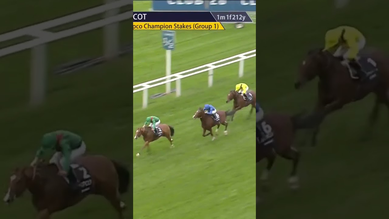 CALANDAGAN wins the Champion Stakes #horse #horseracing #racingtv #britishhorseracing