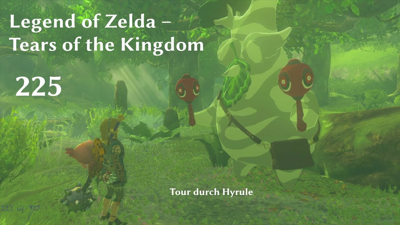 Tour durch Hyrule – TotK, № 225