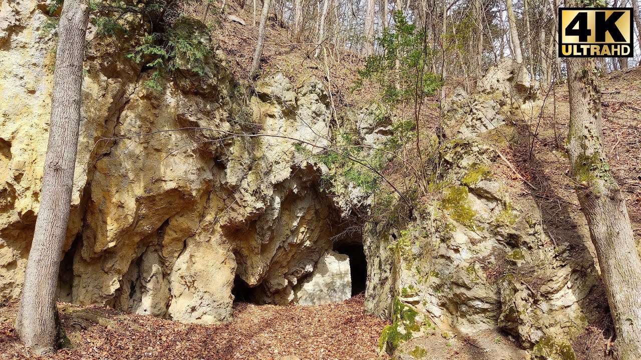WK2: kleiner Luftschutz-Stollen im Doktorberg bei Kaltenleutgeben/NÖ