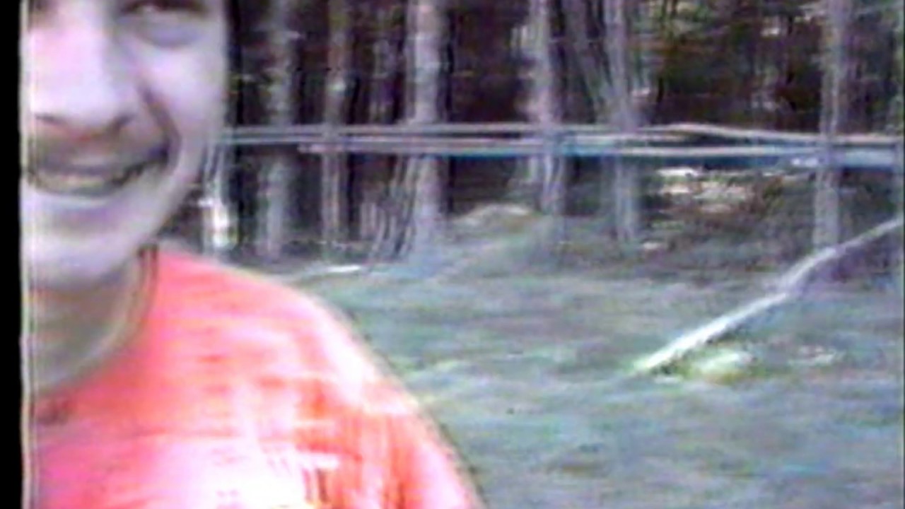 Tremont NS 50th World's Largest Fair 1987