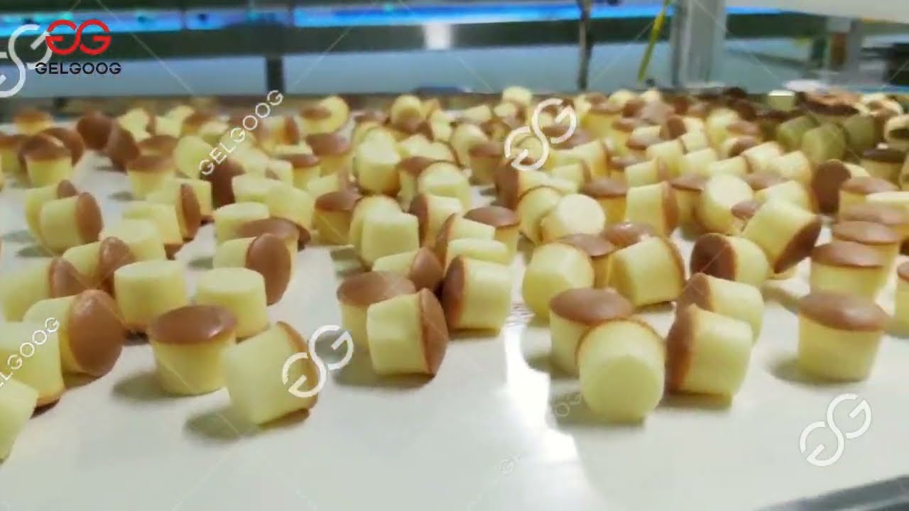 Cup Cake Production Line | Sponge Cake Plant