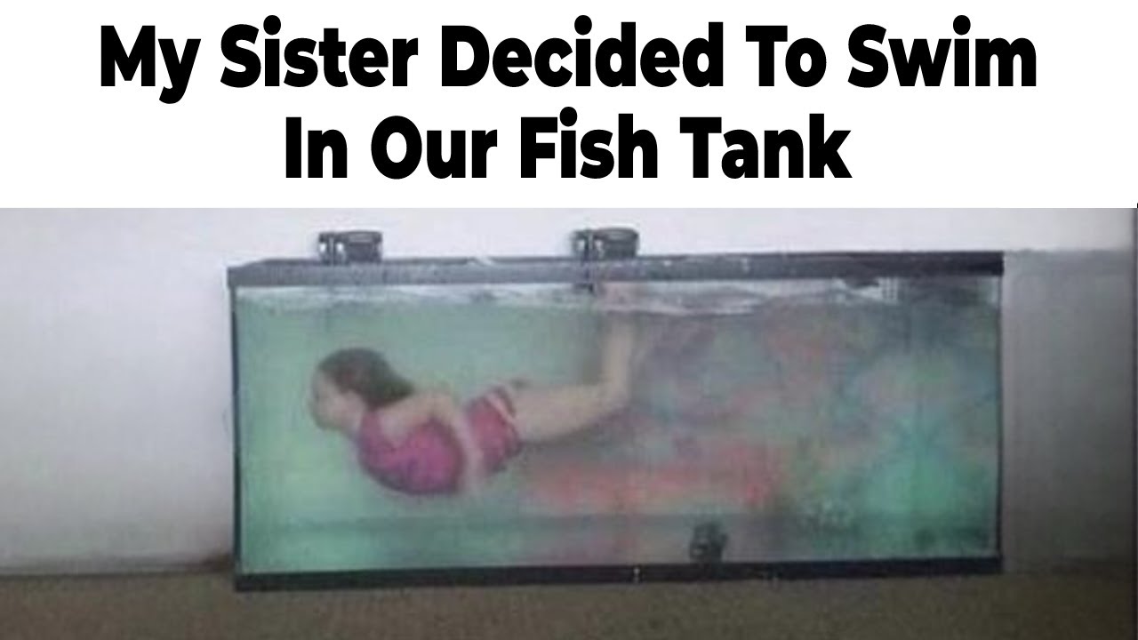 Kids Being Stupid