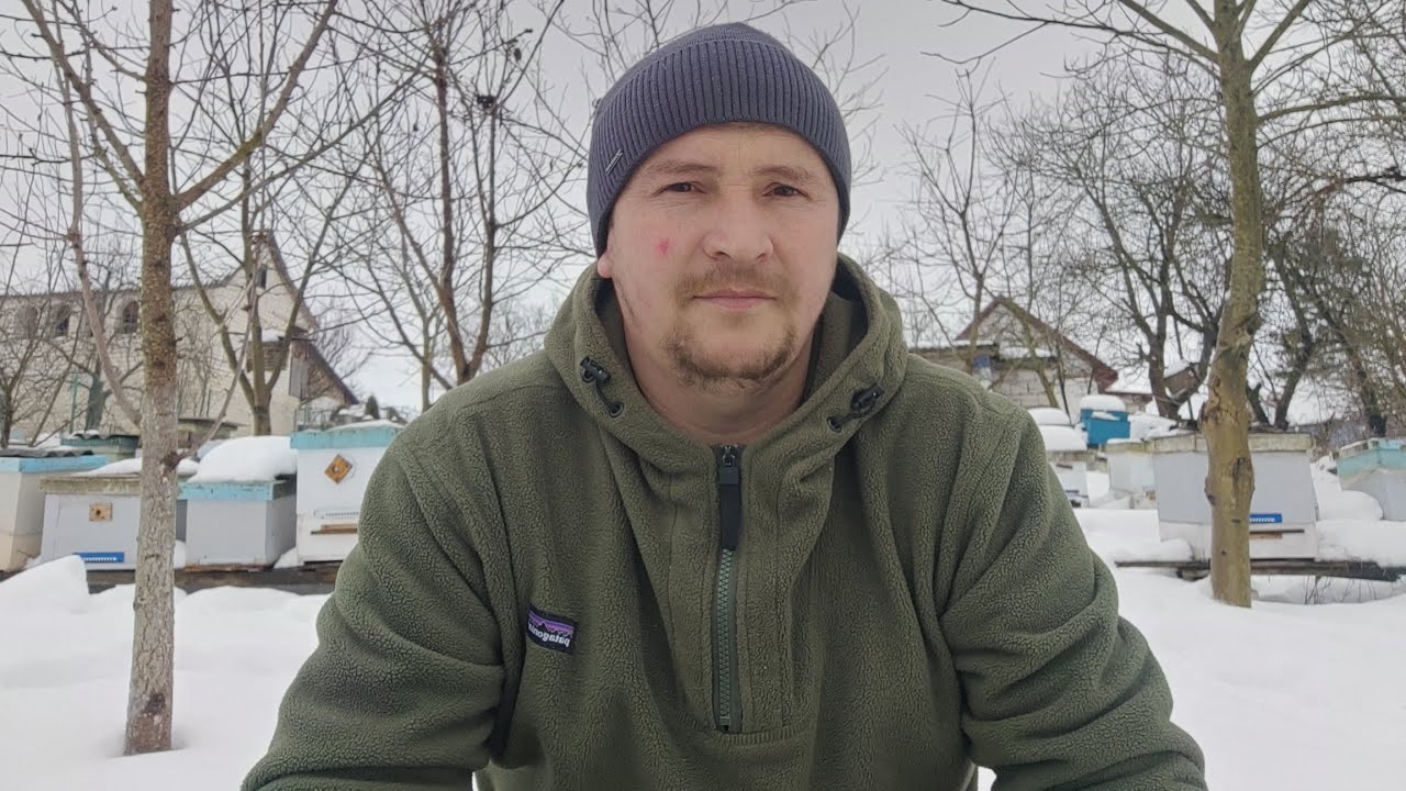 Потепління. Що з бджолами? Чи розпалися клуби?Чи вистачить кормів до весни?Beekeeping in the village