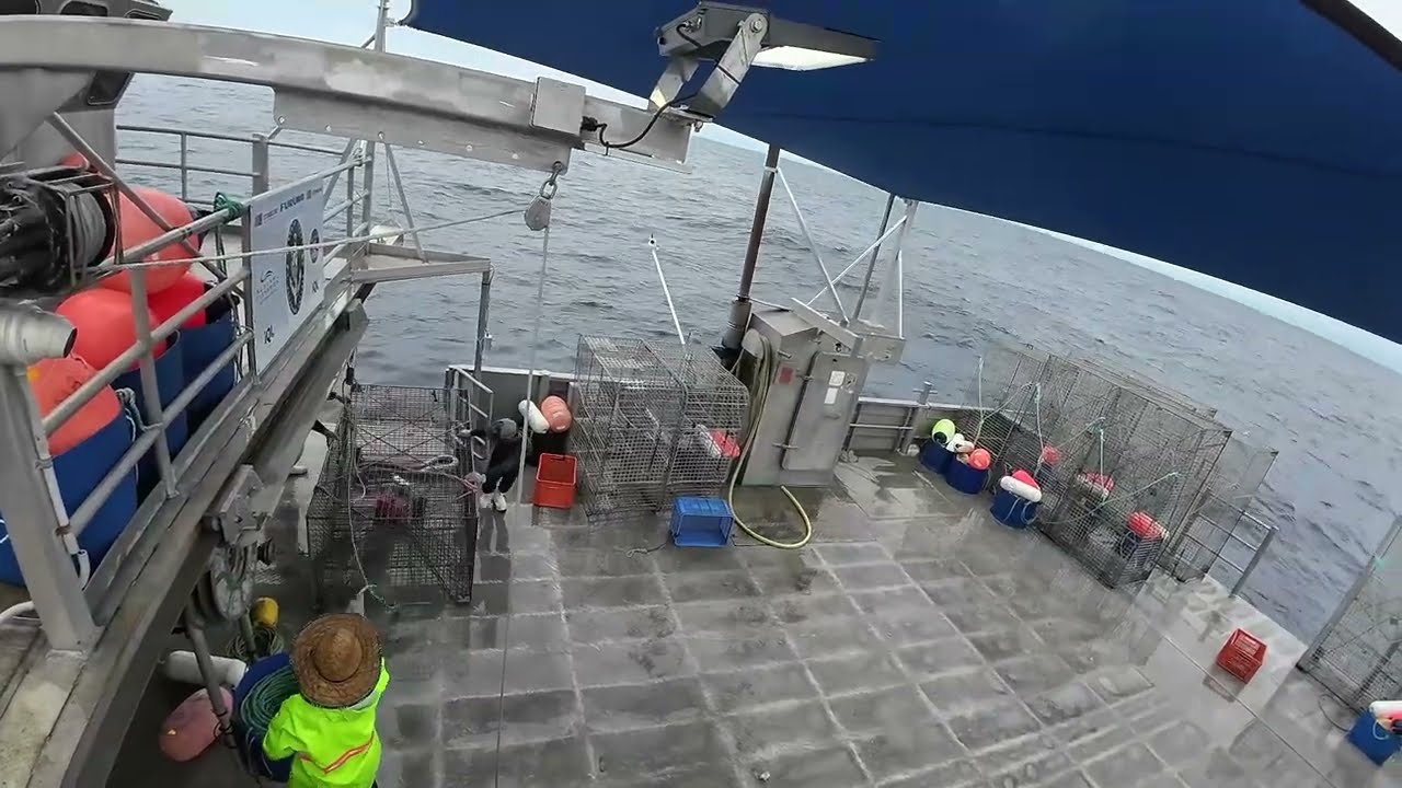 Monsoon season, Sharks and more as TK takes on the Timor Box. TK's Trips S2 E2 -