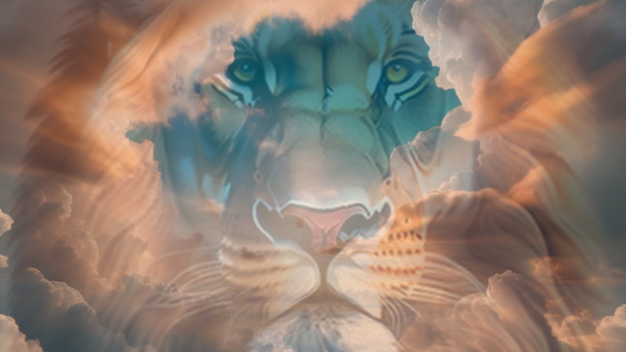 Prophetic Worship Instrumental | Worship Portal| 4 hours