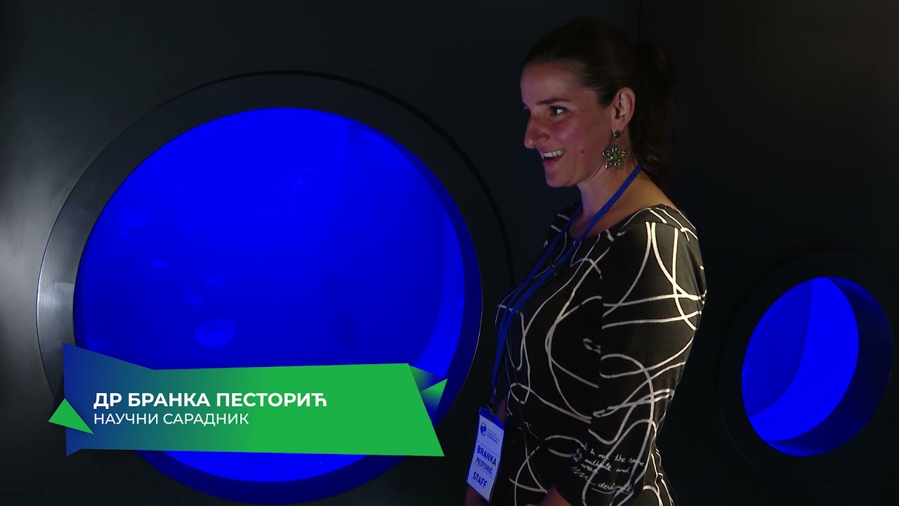 RTHN - More i Zaleđe / Akvarijum Boka / 16.07.2021.
