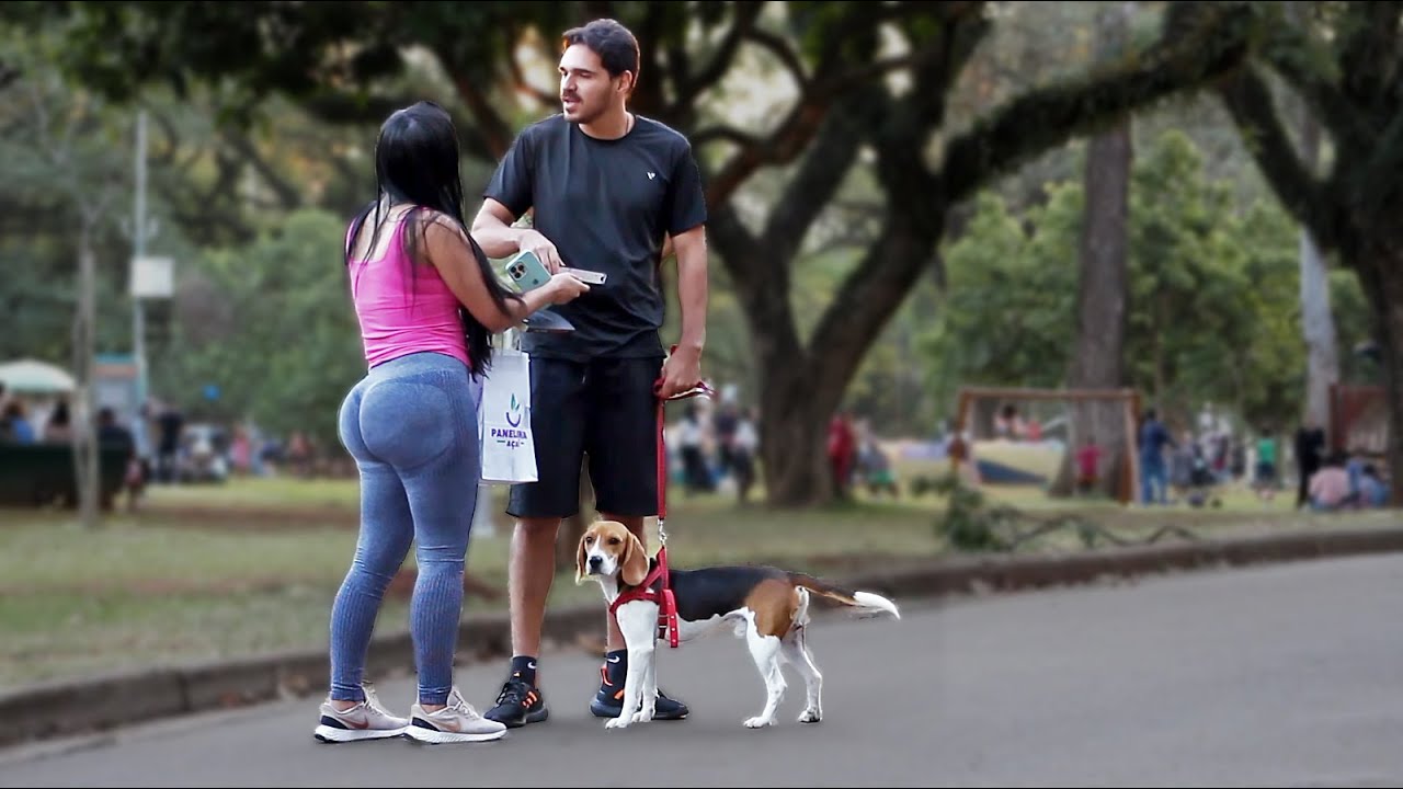 Meu Dog gostou de você...